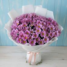 Букет цветов из:  Хризантемы #REPLACE_PRED# Володарском
