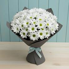 Букет цветов из:  Хризантемы в Володарском