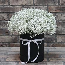 Цветочная композиция из Гипсофила в шляпной коробке в Володарском