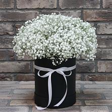 Цветочная композиция из Гипсофила в шляпной коробке в Володарском