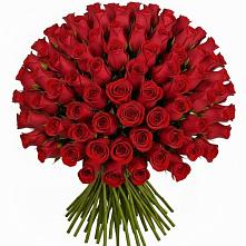 Букет Красные розы Чери Лав в Володарском