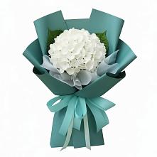 Букет цветов из:  Гортензия в Володарском